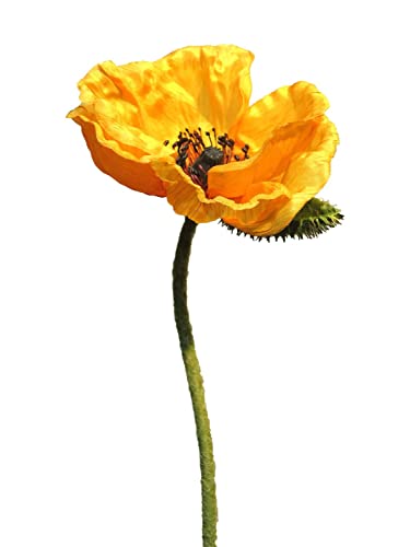 artplants.de Kunstblume Mohnblume ANKANG, orange-gelb, 70 cm - Künstlicher Blumenzweig von artplants