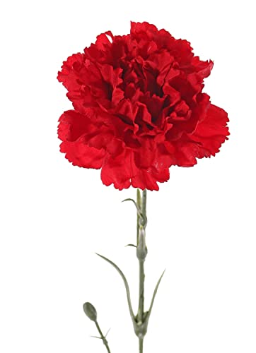 artplants.de Kunstblume Nelke VANERA, rot, 60cm, Ø8cm - Plastik Nelke von artplants