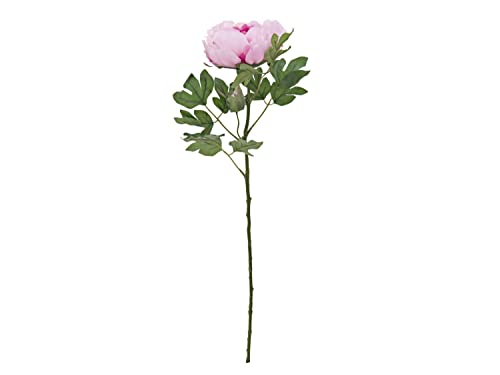 artplants.de Kunstblume Pfingstrose DARISA, rosa, 80cm - Künstliche Pfingstrose von artplants