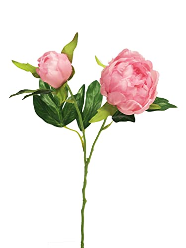 artplants.de Kunstblume Pfingstrose YIXUAN, rosa, 40 cm - Künstliche Stielblume von artplants