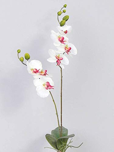 artplants.de Kunstblume Phalaenopsis Orchidee NAARA, Steckstab, weiß pink, 75cm - Kunstorchidee von artplants