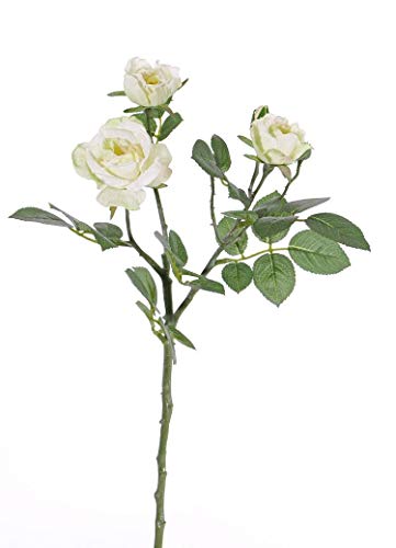 artplants.de Kunstblume Rosenzweig Coralee, weiß-grün, 50cm, Ø 3-7cm - Kunstrosen von artplants.de
