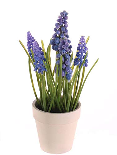 artplants.de Kunstblume Traubenhyazinthe Arabella im Dekotopf, lila - blau, 25cm, Ø 2-3cm - Künstliche Muscari Blume von artplants.de