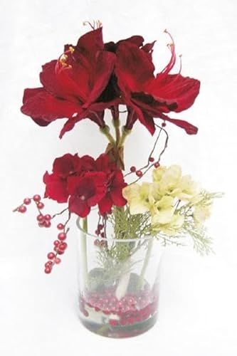 artplants.de Kunstblumen Gesteck Amaryllis, Hortensie Tashi, Dekoglas, rot-Creme, 40cm, Ø23cm - Künstliches Blumenarrangement von artplants