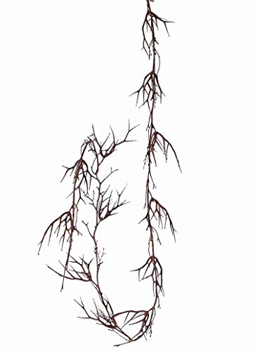 artplants.de Kunstgirlande Christusdornen Girlande Rupert, braun, 180cm - Künstliche Girlande von artplants