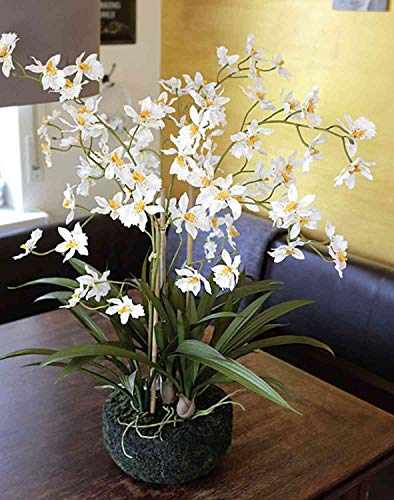 artplants.de Kunstorchidee Oncidium Amelina im Erdball, Creme, 65cm - Seidenorchidee - Deko Orchidee von artplants