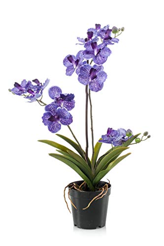 artplants.de Kunstorchidee Vanda Campo, violett, 60cm - Künstliche Orchidee/Blumendeko Orchidee von artplants