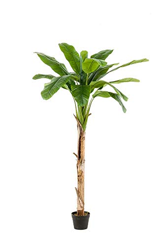 artplants.de Kunstpalme Bananenbaum Bagheera, 180cm - Bananenpflanze Künstlich von artplants