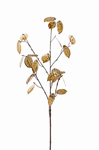 artplants.de Kunstpflanze Lunaria Zweig Bamby, Gold, 90cm - Zweig künstlich von artplants