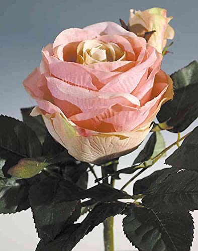 artplants.de Kunstrose Viviane auf Steckstab, rosa-Creme, 23cm, Ø4-10cm - Textil Rose von artplants