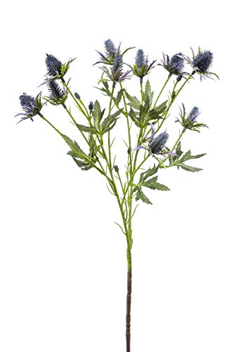 artplants.de Kunstzweig Edeldistel CUACOS, blau, 70cm - Dekozweig Eryngium/Seidenpflanze von artplants