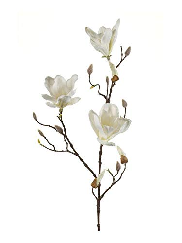 artplants.de Kunstzweig Magnolie MALVAO, Creme, 90cm - Deko Magnolia von artplants