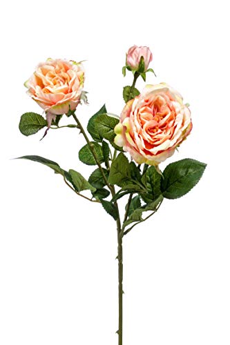 artplants.de Kunstzweig Rosenzweig Calista, Creme-rosa, 60cm - Künstliche Rose von artplants