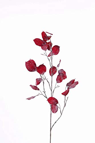 artplants.de Kunstzweig Silbertaler TROND, gefroren, rot, 105cm - Kunstzweig Silberblatt von artplants.de