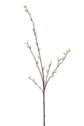artplants.de Kunstzweig Weidenkätzchen Zweig LARDEIRA, weiß, 95cm - Kunst Kätzchenweide von artplants