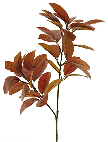 artplants.de Kunstzweig Zitrone LINXIA, braun-rot, 75 cm - Künstlicher Zitronenzweig von artplants.de