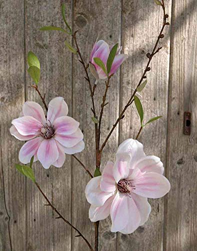 artplants.de Magnolienzweig künstlich FINAH, rosa, 80cm - Deko Magnolie/Magnolie Kunstblume von artplants