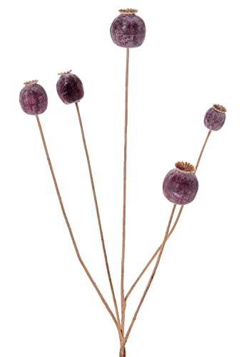 artplants.de Mohnkapsel künstlich FILOMELA, Dunkelbraun, 75cm - Kunst Mohnkapsel von artplants
