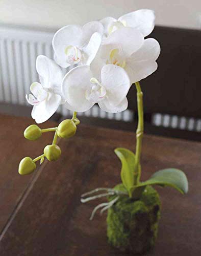 artplants.de Phalaenopsis Orchidee künstlich Veena im Erdball, weiß, 45cm - Kunstorchidee - Textilblume von artplants.de
