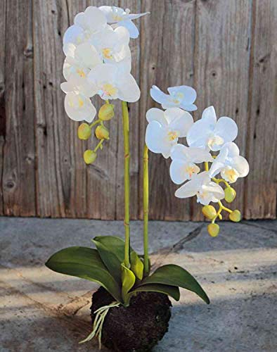 artplants.de Phalaenopsis Orchidee künstlich Veena im Erdball, weiß, 60cm - Kunstorchidee - Textilblume von artplants