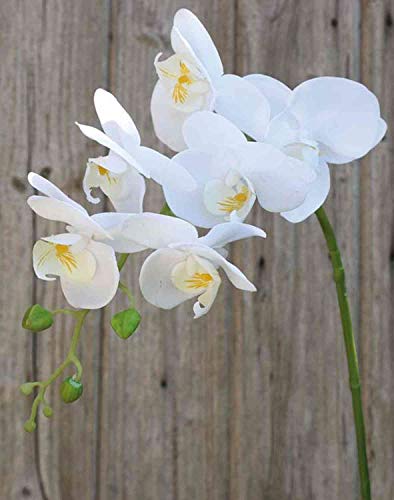artplants.de Phalaenopsis Orchideenzweig künstlich Ophelia, weiß, 80cm - Kunstzweig Orchidee - Seidenorchidee von artplants
