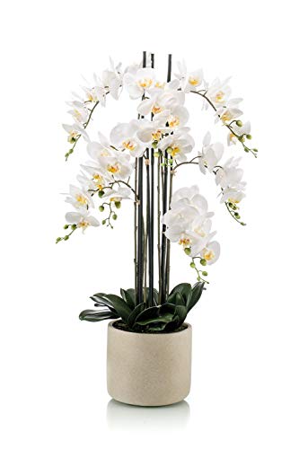 artplants.de Phalaenopsis künstlich Cecile, Keramiktopf, weiß, 100cm - Kunst Orchidee im Topf/Kunstblume Orchidee von artplants.de
