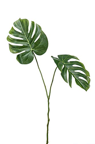 artplants.de Philodendron Kunstpflanze AECIO, 50cm - Monstera künstlich/Künstliche Zimmerpflanze von artplants.de