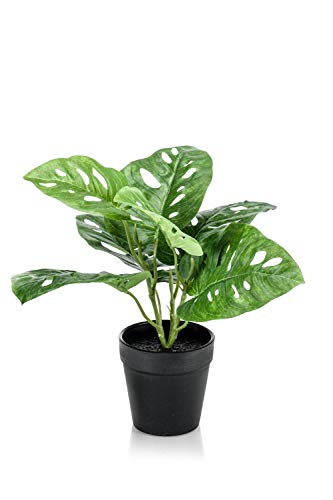 artplants.de Philodendron Kunstpflanze PUYA, 30cm - Monstera künstlich/Künstliche Zimmerpflanze von artplants.de