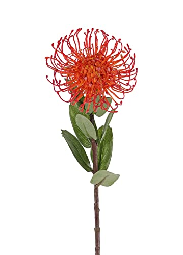 artplants.de Protea künstlich Baily, orange, 50cm, Ø12cm - Protea kunstblume von artplants