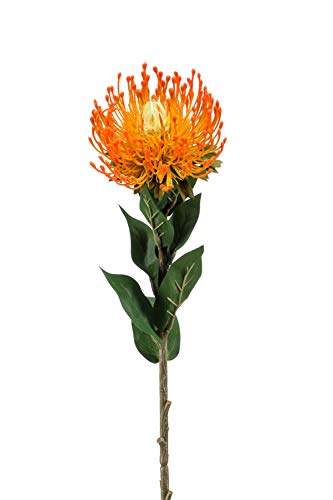 artplants.de Protea künstlich HERVAS, orange, 70cm - Künstliche Protea Blume/Textilpflanze/Protea Deko von artplants