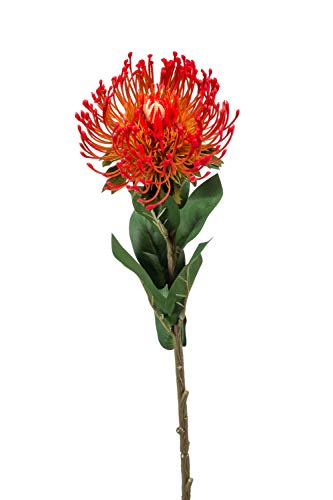 artplants.de Protea künstlich HERVAS, rot, 70cm - Künstliche Protea Blume/Textilpflanze/Protea Deko von artplants