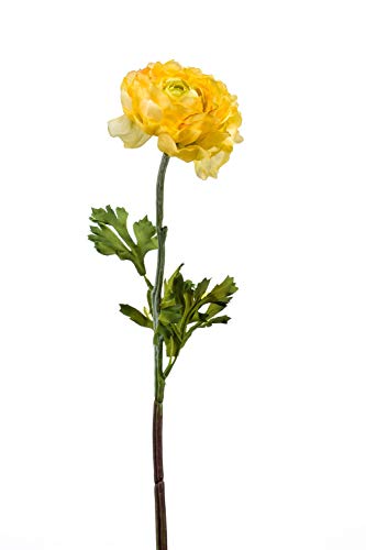 artplants.de Ranunkel künstlich ELORIO, gelb, 50cm - Ranunkel Kunstblume/Seidenpflanze von artplants.de
