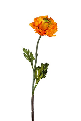artplants.de Ranunkel künstlich ELORIO, orange-grün, 50cm - Ranunkel Kunstblume/Seidenpflanze von artplants