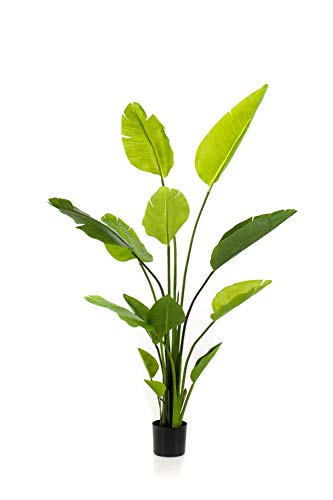 artplants.de Strelitzie künstlich BEDAR, grün, 150cm - Strelitzie Seidenpflanze/Kunstpflanze Paradiesvogelblume von artplants