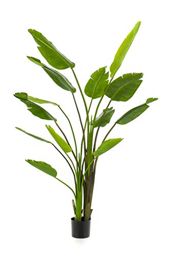 artplants.de Strelitzie künstlich BEDAR, grün, 180cm - Strelitzie Seidenpflanze/Kunstpflanze Paradiesvogelblume von artplants