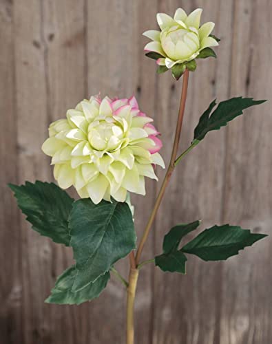 artplants.de Textil Dahlie PATRITZIA, grün-rosa, 55cm, Ø4-9cm - Kunstblume Dahlie von artplants