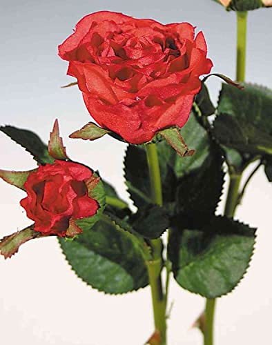 artplants.de Textil Rose Queenie, rot, 30cm, Ø3-5cm - Künstliche Rose von artplants