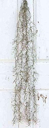 artplants.de Textil Tillandsia Usneoides CEVIN, Steckstab, grün, 100cm - Luftpflanze Künstlich/Seidenpflanze von artplants