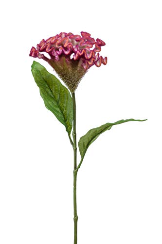 artplants.de Textilblume Hahnenkamm Anubis, pink, 60cm, Ø13cm - Dekoblume/Kunst Celosia cristata von artplants.de