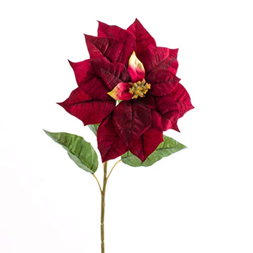 artplants.de Weihnachtsstern Poinsettia, rot, 75cm - Textilpflanze von artplants.de