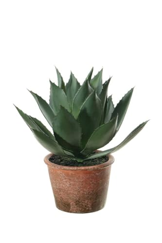 artplants.de Künstliche Agave Americana KENNO, Übertopf, grau-grün, 27cm - Kunst Agave von artplants