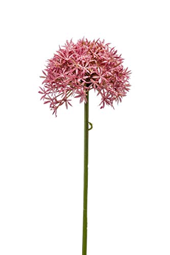 artplants.de Künstliche Blume Allium ARNAU, pink, 60cm - Kunstblume Zierlauch von artplants