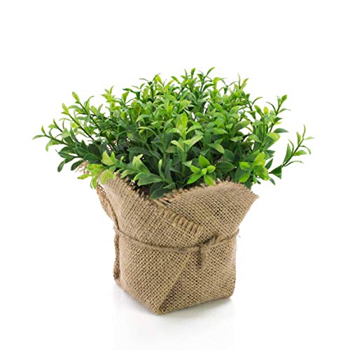 artplants.de Künstliche Gartenkresse Vitus im Jutesack, grün, 17cm - Kunstpflanze - Kräuter Pflanze artplants.de Künstliche Gartenkresse Vitus im Jutesack, grün, 17cm - Kunstpflanze - Kräuter Pflanze von artplants