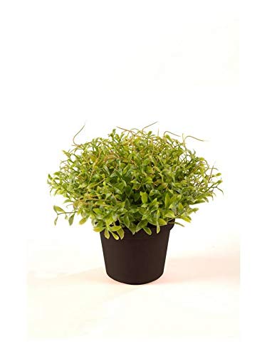 artplants.de Künstliche Kräuter Gartenkresse YANIS, grün, 13cm - Kunst Kraut von artplants