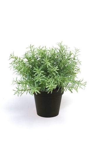 artplants.de Künstliche Kräuter Rosmarin YANIS, grün, 20cm - Deko Rosmarin artplants.de Künstliche Kräuter Rosmarin YANIS, grün, 20cm - Deko Rosmarin von artplants