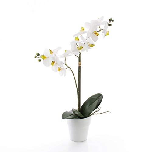 artplants.de Künstliche Orchidee Phalaenopsis Candida, 2 Zweige, weiß, im Topf, 65cm - Kunst Blume - Deko Pflanze von artplants