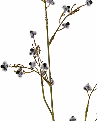 artplants.de Künstliche Stirlingia latifolia COLLAN, schwarz-weiß, 85cm - Künstlicher Blütenzweig von artplants