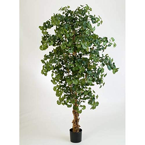 artplants.de Künstlicher Ginkgo - Baum, 1612 Blätter, 210cm - großer Kunstbaum - Künstliche Pflanze von artplants