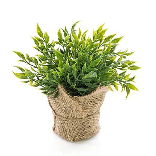 artplants.de Künstlicher Mäusedorn Kraut Vitus im Jutesack, grün, 22cm - Kunstpflanze - Kräuter Pflanze artplants.de Künstlicher Mäusedorn Kraut Vitus im Jutesack, grün, 22cm - Kunstpflanze - Kräuter Pflanze von artplants
