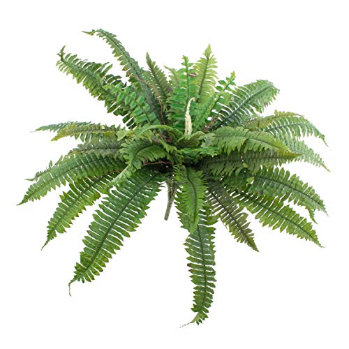 artplants.de Künstlicher Schwert Farn Samuel, 42 Blätter, grün, Ø 80cm, 55cm - Kunststoff Farn - Deko Farn artplants.de Künstlicher Schwert Farn Samuel, 42 Blätter, grün, Ø 80cm, 55cm - Kunststoff Farn - Deko Farn von artplants